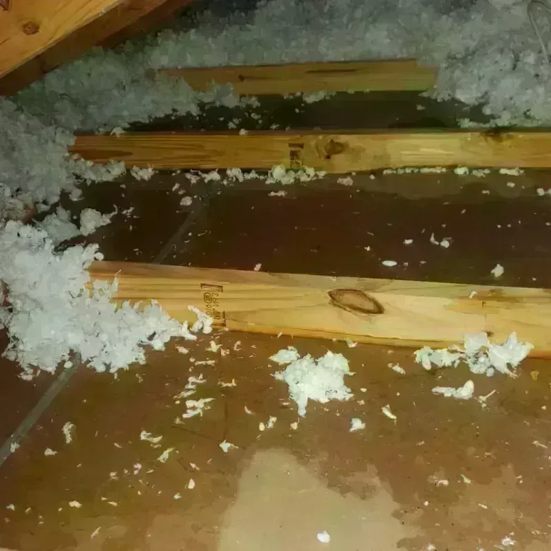 Attic Water Damage in Lincoln, PA