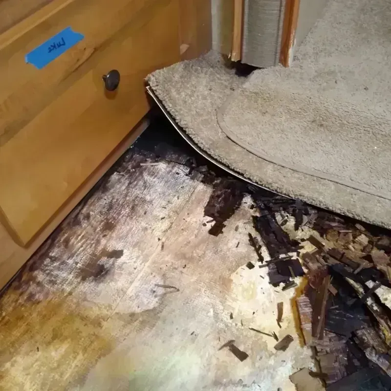 Wood Floor Water Damage in Lincoln, PA